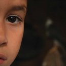 허니(HONEY) 이미지