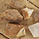 (주)화석자동차 이미지