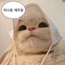 북호텔 | 제주 공항 근처 1인실 숙소 찾는다면? 혼자 여행객 위한 북호텔 (2박 후기/장단점)