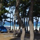 등명해변(철길옆) 이미지