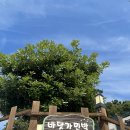 바닷가 민박 이미지