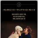 캣츠앤독스 이미지