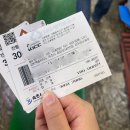 미도파 | 속초 관광 수산 시장 미도파횟집 재방문 후기 회 포장 맛집 추천