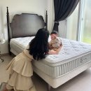 [공지] 침대매트리스 지누스 매트리스후기 그린티 럭스S