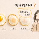 써니사이드업