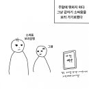 청도 소싸움 직관 후기.toon 이미지