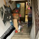 수정로306번길 이미지