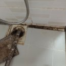 금호5단지 이미지