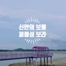 신안보물섬 | 신안 보물섬(?),퍼플섬 보랏빛 향연 후기