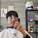 수원 행궁동 도씨 행궁, 남자 헤어컷 + 다운펌 후기 (feat, 4월 봄맞이 톤업 컬러 행사)