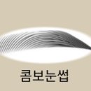 766 하우스(766 Haus)