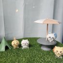 무용담예술상점 이미지