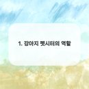 강아지분양 애견입양 아이러브독 수원점 말티푸미니비숑포메 이미지