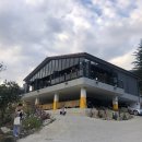 올라알파카 카페 이미지