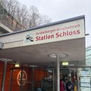 산이 있는 풍경 | 하이델베르크 케이블카 전망대 후기 쾨니히스툴(Koenigstuhl) 정상 풍경 추천코스 2편 총정리