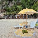 구명카써비스 이미지