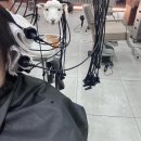 청주 시내 미용실, 청주 성안길 미용실 골목미장원 성안점