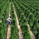 부농축산 이미지