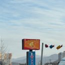 어도원 | 강원도 평창송어축제 준비물, 후기, 숙박