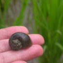 다솜농장 이미지