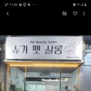 슈가펫살롱 네이버블로그