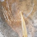 선화로47길 이미지