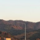 노을3(신관) | 캠프99 신관 캠핑장 P7 사이트 후기