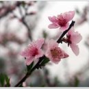 지혜의샘 이미지