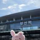 [블챌] 부산 여행기