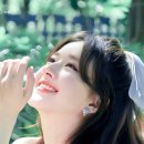 짜오 이미지
