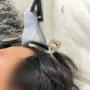 강남꽃배달예스플라워넷 | 5월넷째쭈