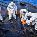 (주)모리셔스 이미지