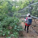 내곡동441 이미지