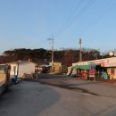 섬바위슈퍼 이미지