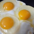 봄빛농장 이미지