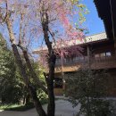 나더호텔 | 중국 리장 호텔 아만 다얀 Amandayan (2) - 객실 자세히 둘러보기 (12월 날씨)