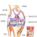 무릎 통증 구부릴때 걸을때 안쪽이 아플때 원인 이미지