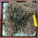 금오정 | 양산 통도사 맛집 금오정 후기(주차, 모밀소바, 수육, 칼국수)