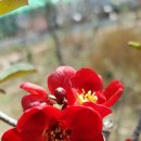 들뫼풍경 이미지