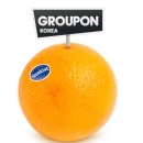 오렌지 커머스 이미지