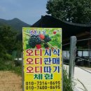 푸른숲농원 이미지