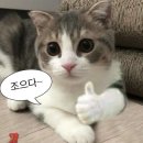 24시 미아 감자탕 이미지