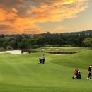 셀프골프 이미지