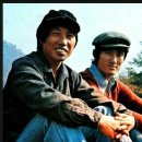 목화랑 이미지