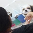 헬로똘복 - 성남시 분당구 미금로 251 | 헬로똘복