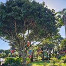 제주해양동물박물관 | 제주 성산읍 해양동물박물관 체험학습 후기