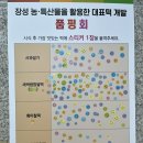 장성군민회관 | 장성군 특산물 대표 떡 개발 품평회 후기