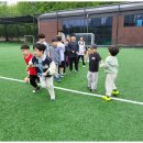 우리태권도장 이미지