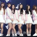 오！포토 이미지
