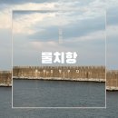 물치해수욕장 화장실 이미지